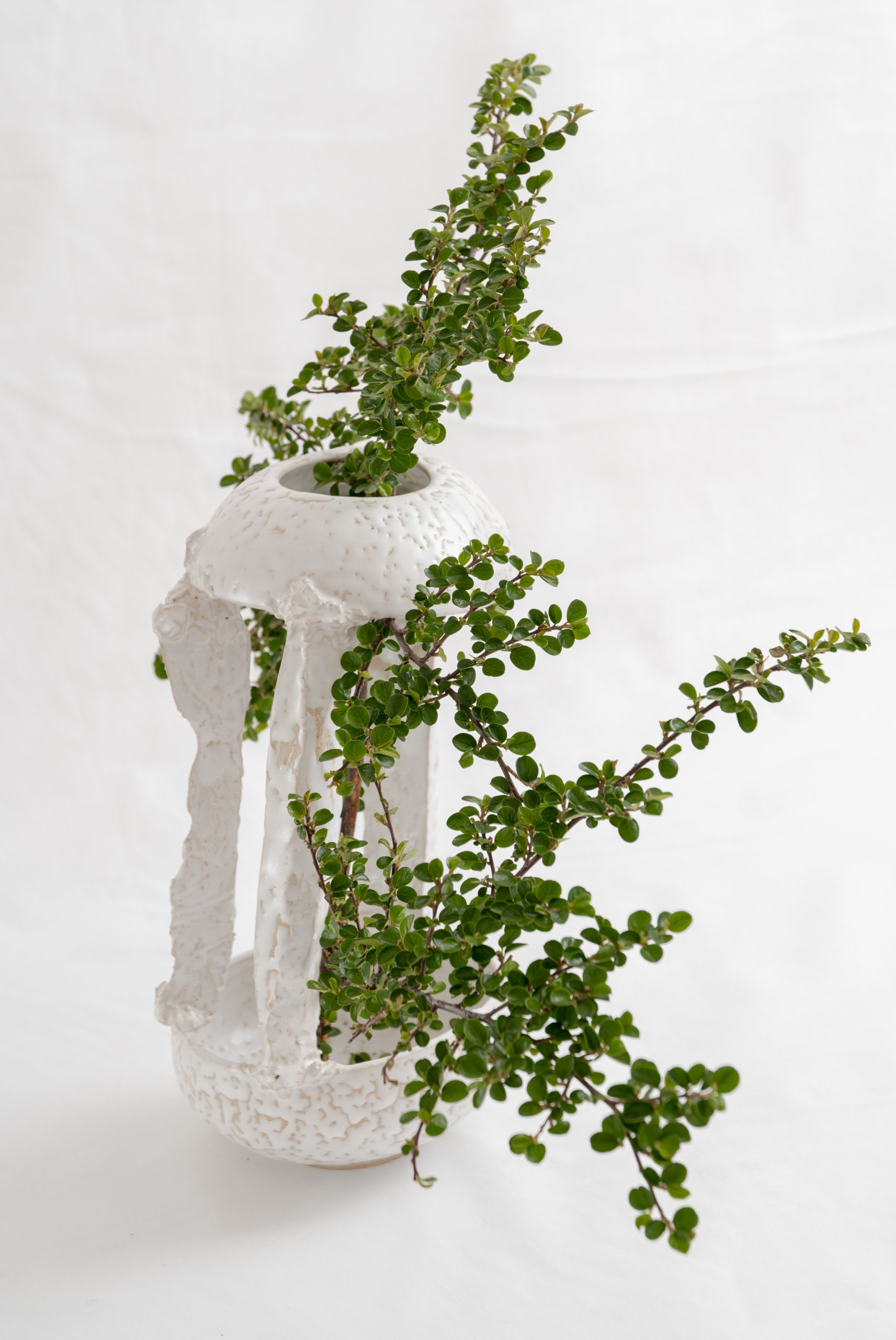 2020_zheni.studio_2