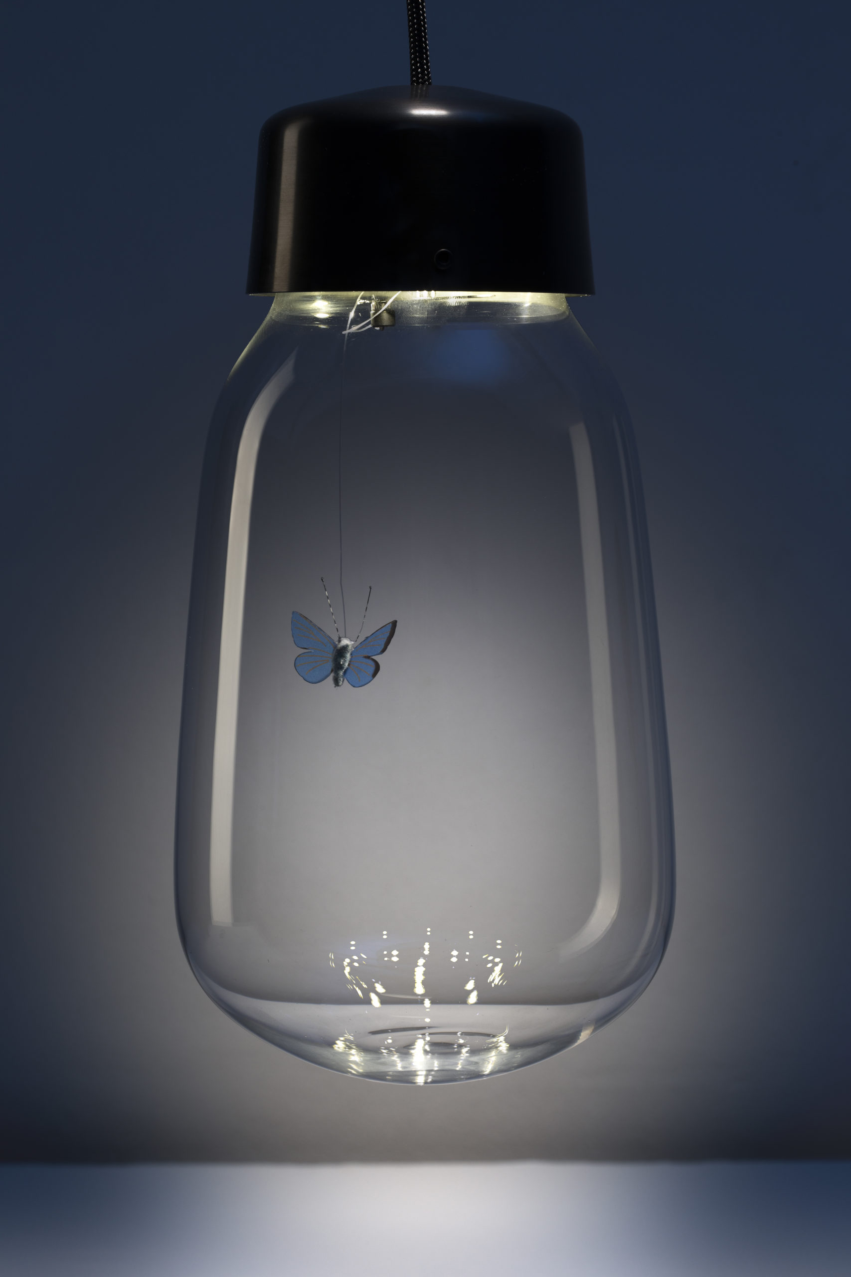 mischertraxler-Entomarium-extinct-single-bulb-photoby-Leonard-Hilzensauer