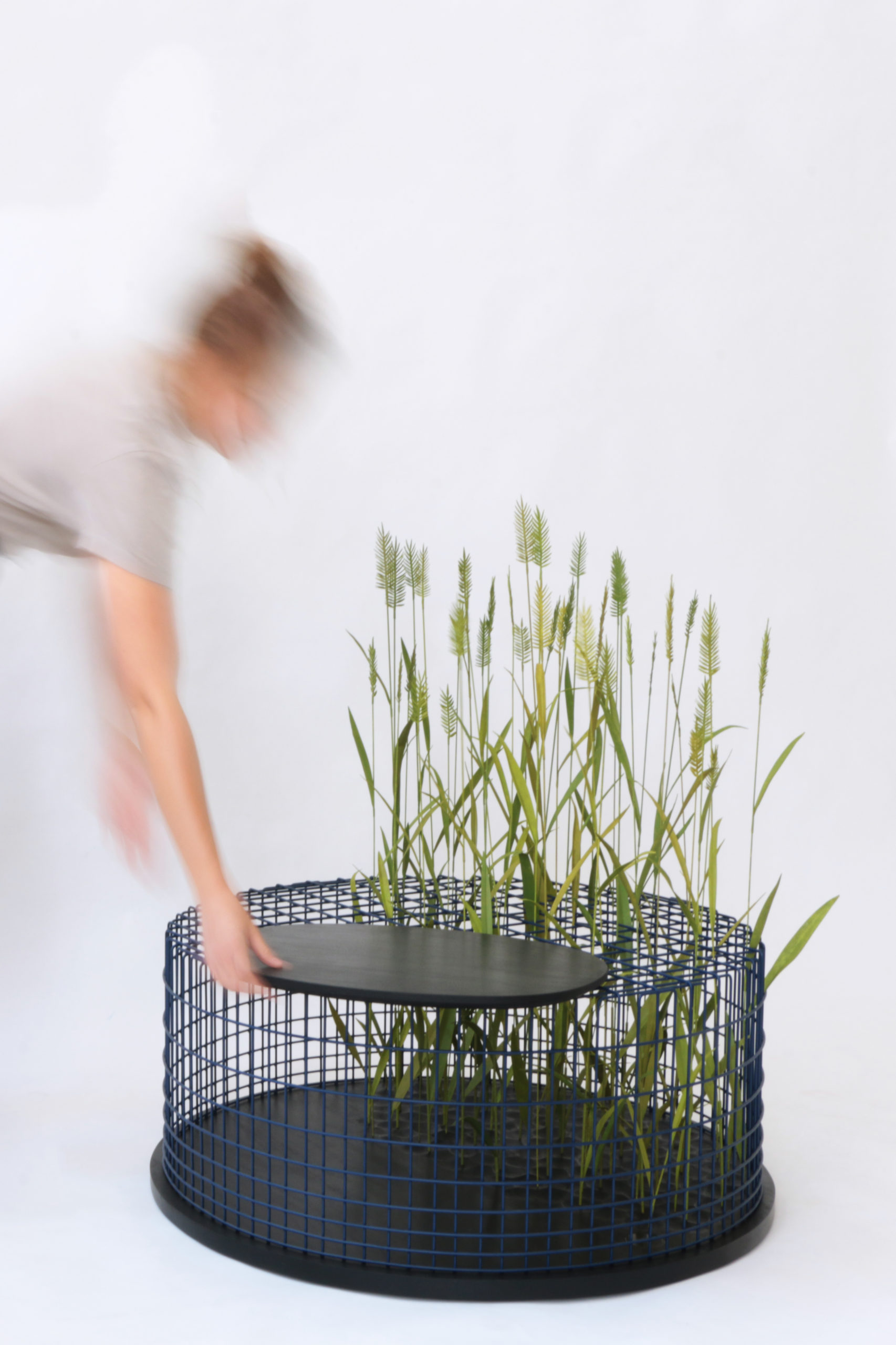 mischertraxler_limitedgrasses_hochformat_tray-300dpi